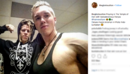 William Hahne, Alternativ för Sverige, Golden One, Marcus Follin